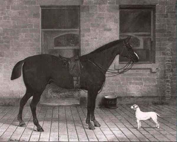 Portrait Of A Chestnut Hunter, Saddled Outside A Stable - view 1