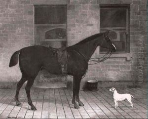 Portrait Of A Chestnut Hunter, Saddled Outside A Stable