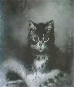 A Portrait Of A Tabby Kitten A Portrait Of A Tabby Kitten