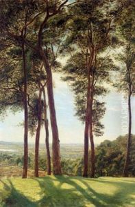 The Painters Walk, Hampstead Heath by Arthur John Herbert