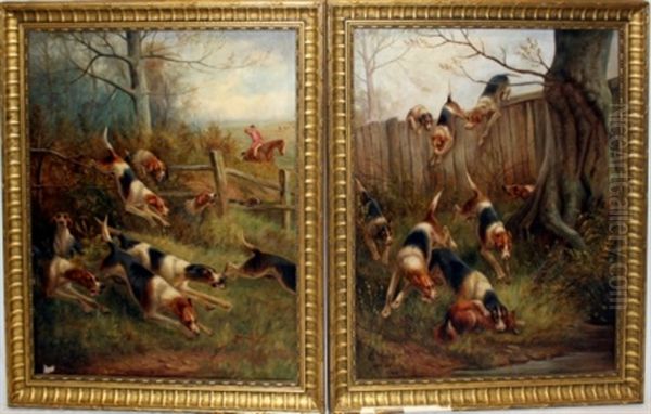 Hunting Dogs - view 1