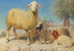 The Desert Flock by John Rogers Herbert