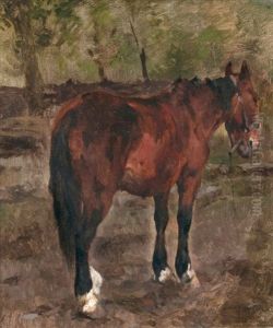 Stehendes Pferd by Thomas Ludwig Herbst