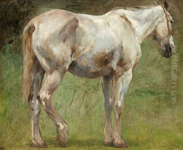 Stehender Schimmel - view 1