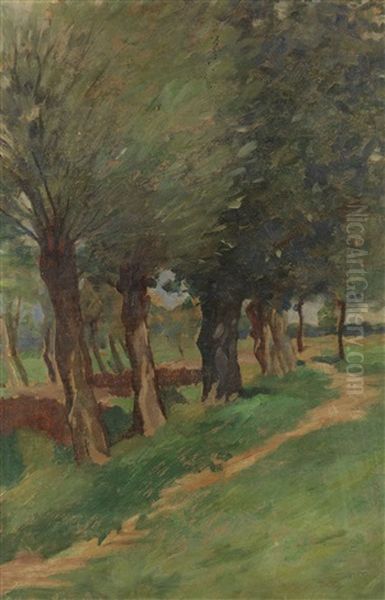 Von Weiden Gesaumter Sandweg - view 1