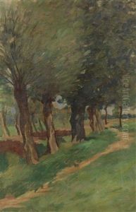 Von Weiden Gesaumter Sandweg