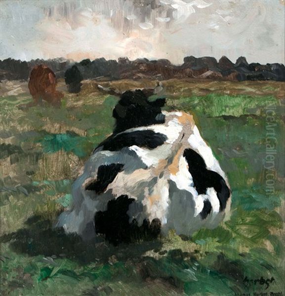 Ruhende Kuh Von Hinten - view 1