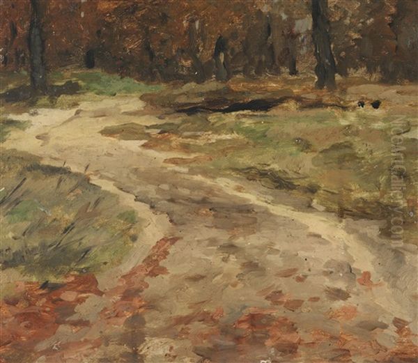 Waldweg Im Herbst - view 1