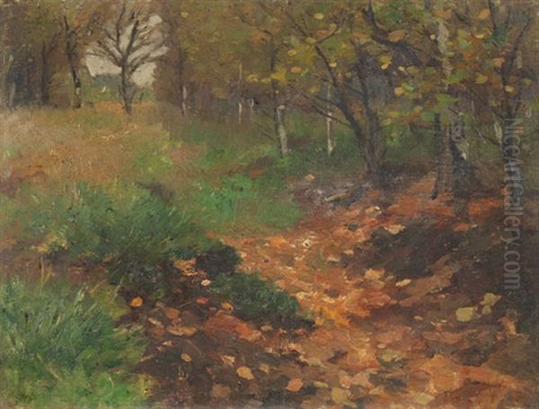 Waldlichtung - view 1