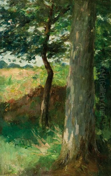 By The Edge Of The Wood - view 1