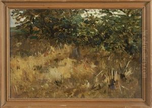 Boschung Mit Vertrocknetem Gras Und Baumen by Thomas Ludwig Herbst