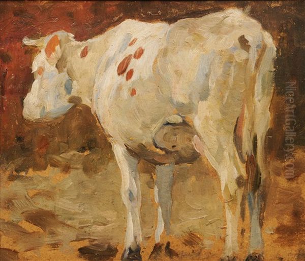 Standing Cow - view 1