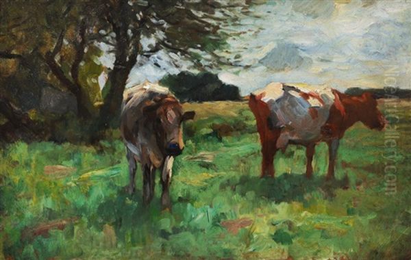 Cows On The Pasture - view 1