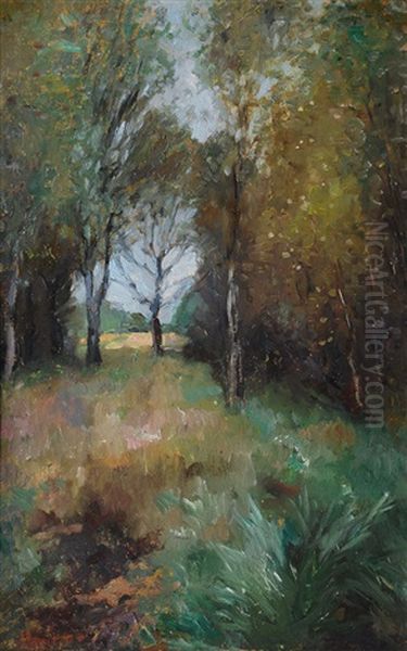 Forest Clearing - view 1