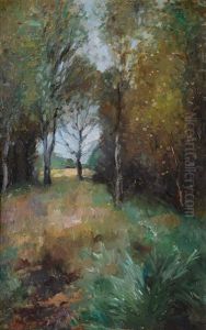 Forest Clearing Forest Clearing
