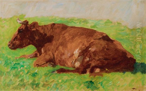 A Cow - view 1