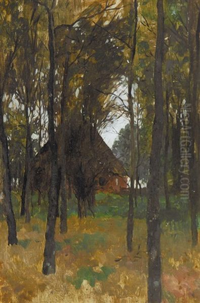 A House Between Trees - view 1