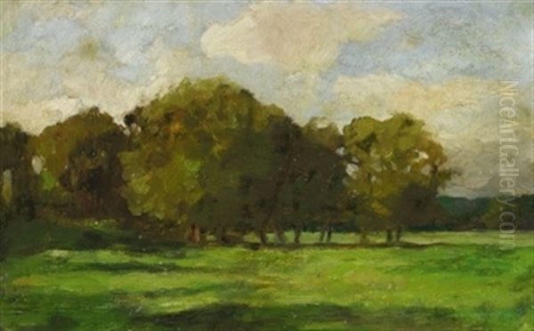 Norddeutsche Landschaft - view 1