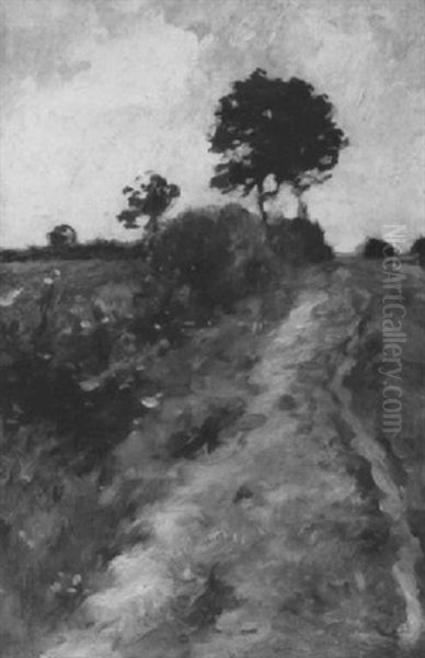 Feldweg An Einer Boschung - view 1