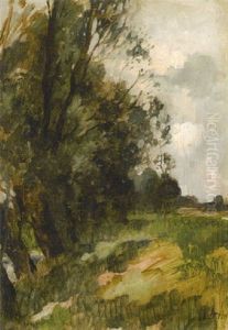 Landschaft Mit Weidenbaumen Am Bach