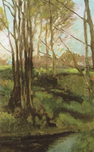 Bachlandschaft Im Fruhling - view 1