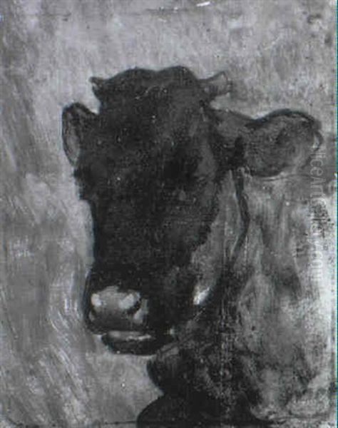 Jungkuhportrait - view 1