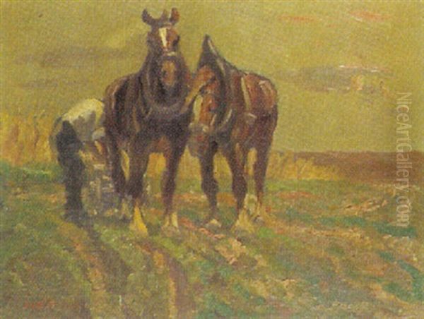 Pferdegespann Auf Der Weide - view 1