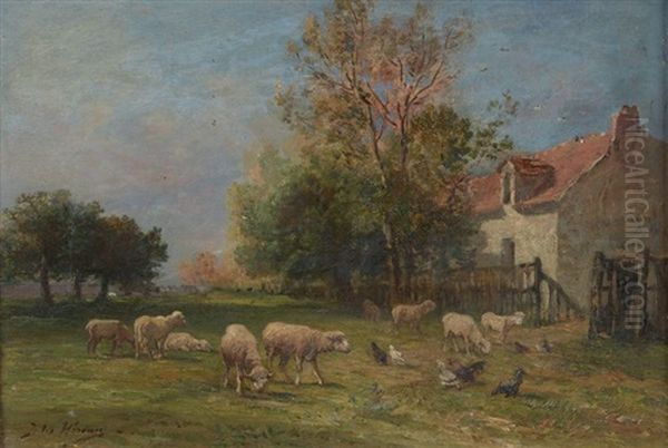 Moutons Et Poules - view 1
