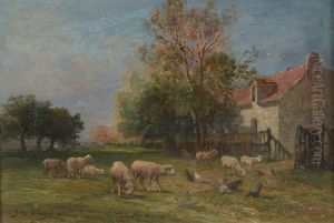 Moutons Et Poules