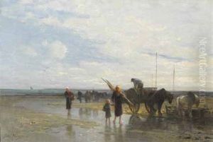 Le Retour De La Peche A La Crevette