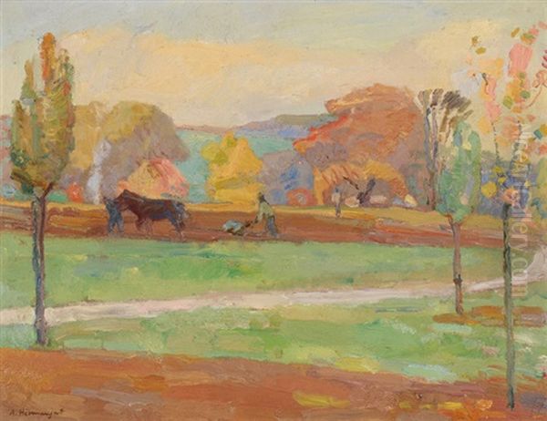 Aubonne - view 1