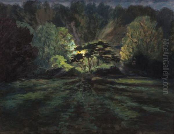 Light In The Forest - view 1
