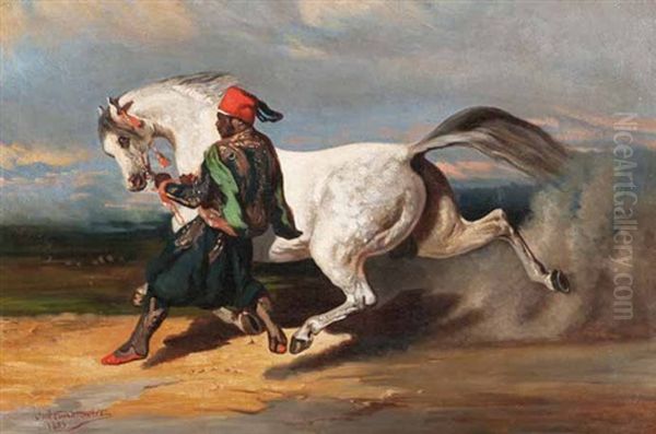 Maure Dressant Un Cheval - view 1