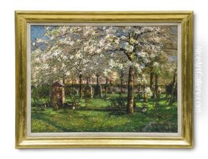 Sonniger Friedhof Zur Baumblute