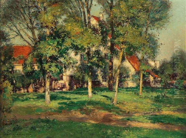 Houses Behind Trees In The Sunlight - view 1