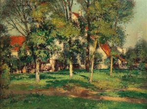Houses Behind Trees In The Sunlight