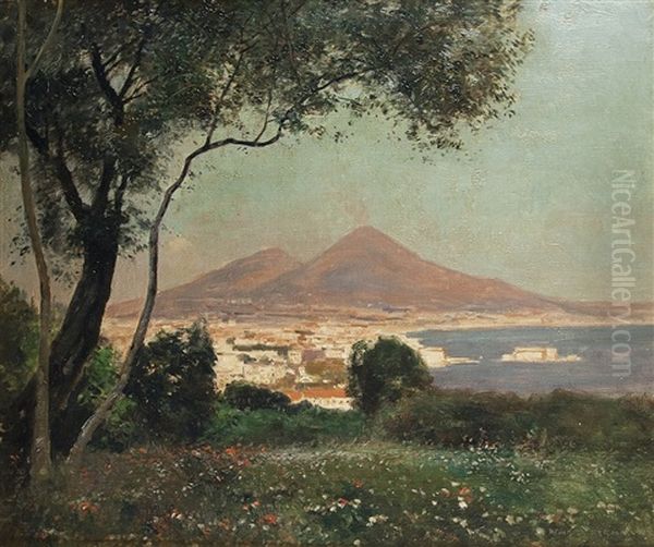 Fruhling Am Golf Von Capri - view 1