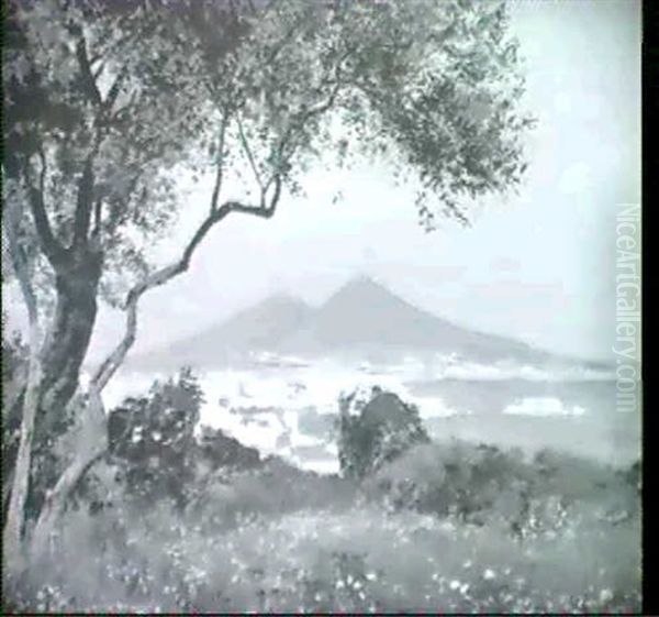Blick Von Positano Auf Neapel - view 1