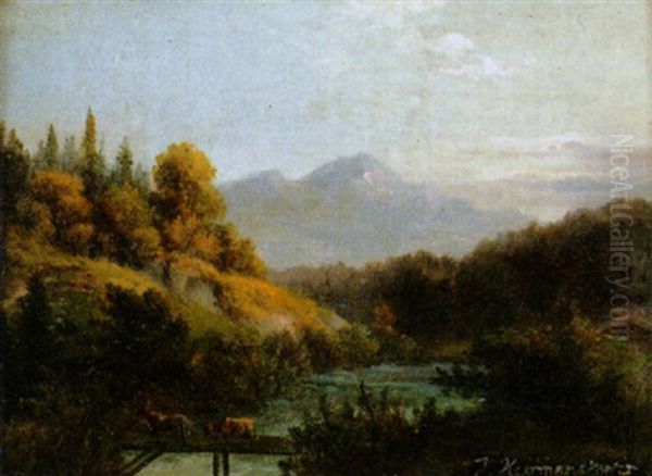 Waldlandschaft Mit Fluss - view 1