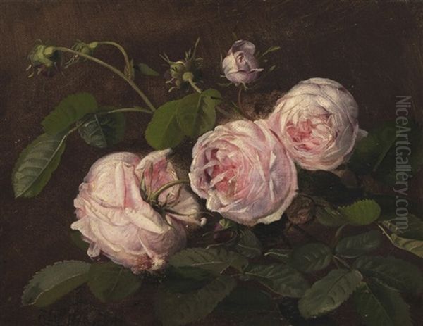 Still Life With Pink Roses - view 1