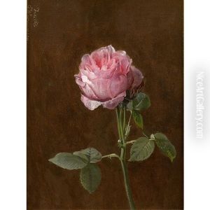 Rose Rose