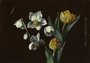 Flowering Petunia And White Anemones And Yellow Tulips Flowering Petunia And White Anemones And Yellow Tulips