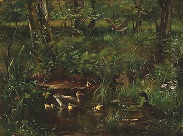 Forest Lake With Ducks - view 1