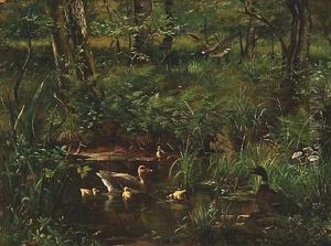 Forest Lake With Ducks by Olaf August Hermansen