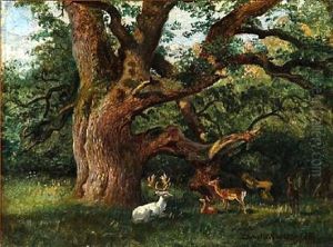 Red Deer In The Deer Garden, Denmark by Olaf August Hermansen