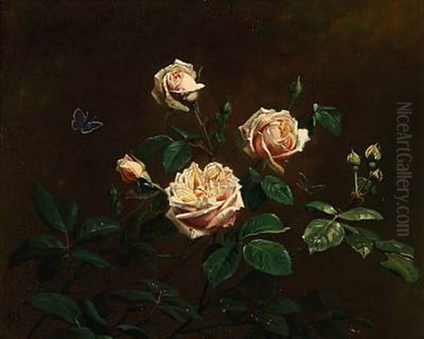 Cream-colored Roses In Bloom - view 1