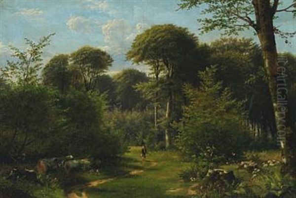 Forest Scene With A Boy On Adventure - view 1