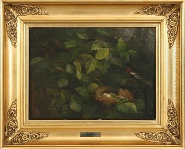 Robin By The Nest - view 1