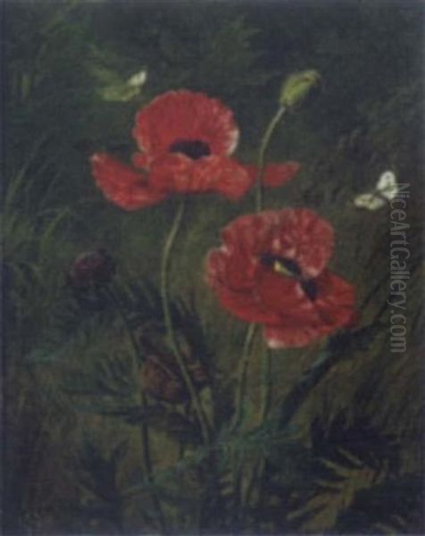 Still Life Of Poppies - view 1