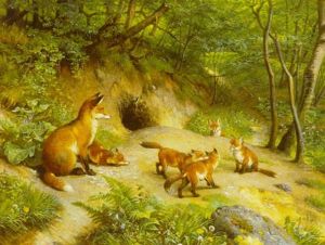 En Raev Med Sine Unger Udenfor Sin Bolig En Raev Med Sine Unger Udenfor Sin Bolig
